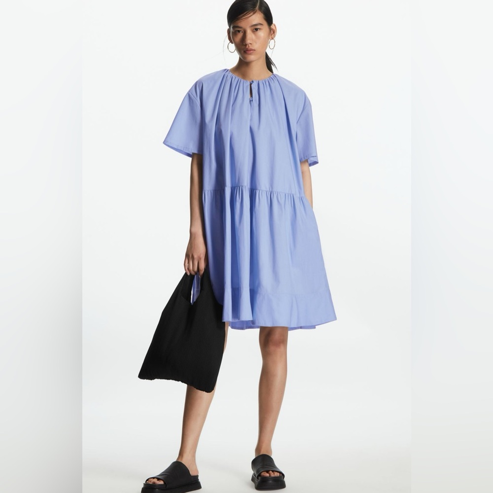 COS Dress
